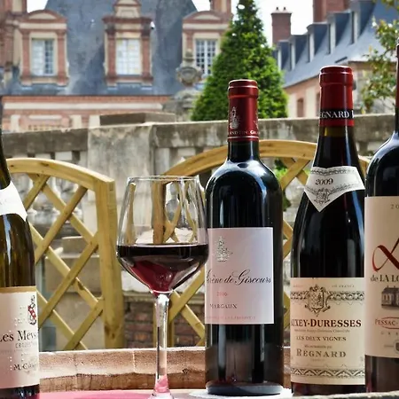 Le Richelieu Bacchus 2* Fontainebleau