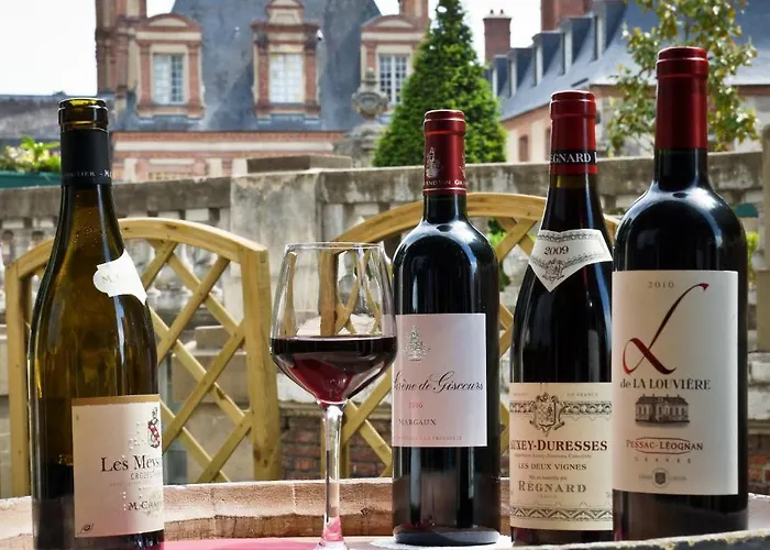 Le Richelieu Bacchus 2* Fontainebleau